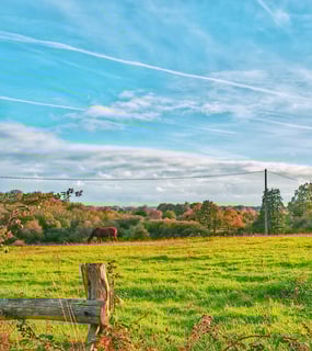 Campagne du sud-est manceau, Sarthe – secteur d'intervention de Laurence Legry, 2L Immobilier